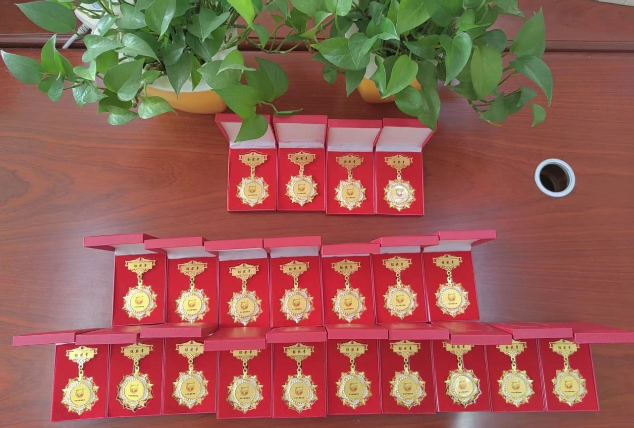 2024ȺӱѧԺôӢѧԺѧٻ˽