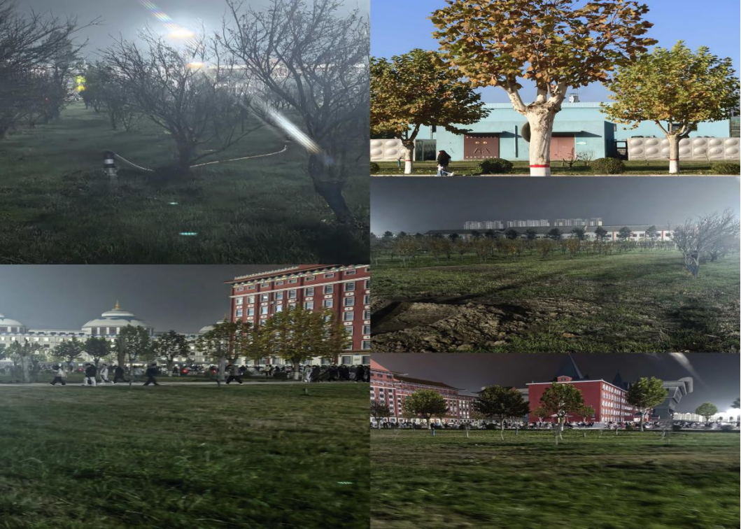 英语学院——校园树木呵护计划正式启动师生携手开展绿意实践行动