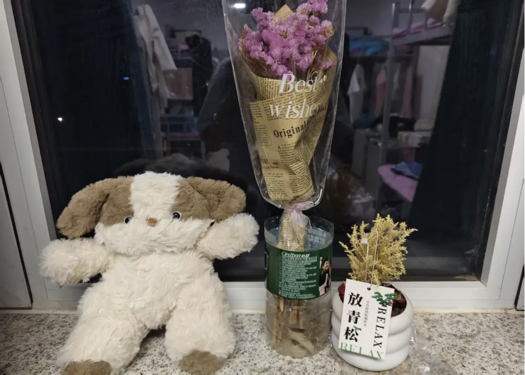 ——“用创意点亮生活” 宿舍创意布置大赛落幕学子巧思焕新温馨家园